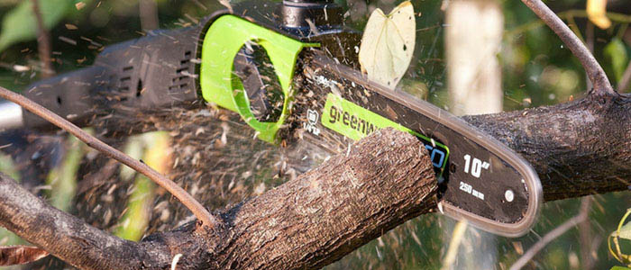 Gas Powered Pole Saw for Pruning the trees