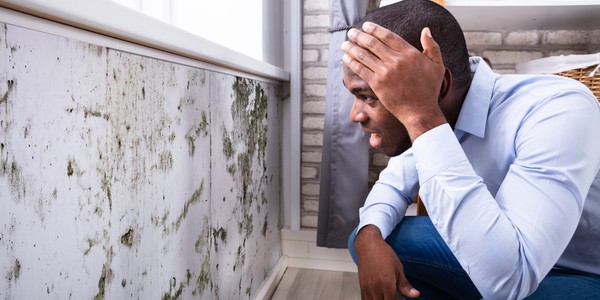 7 Different types of mold you must know