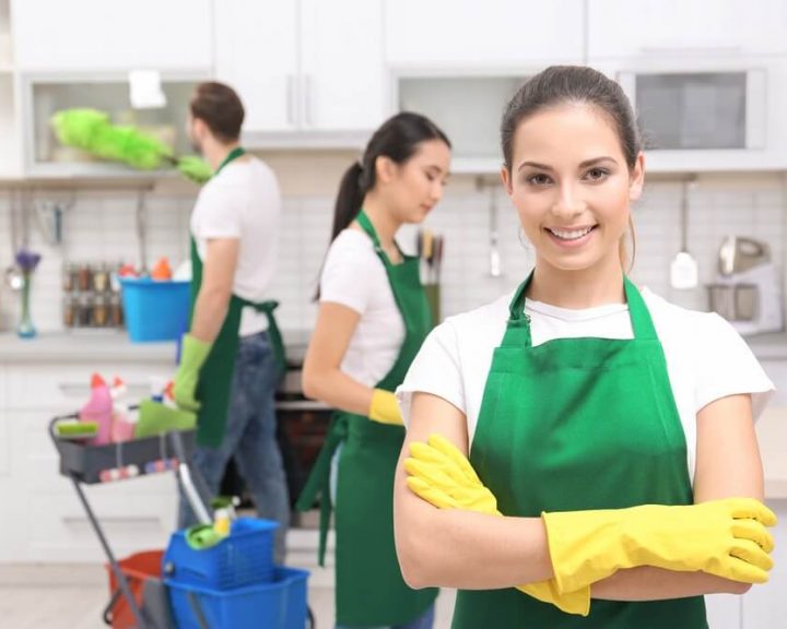 professional house cleaning service