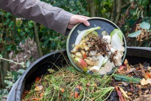 Compost bin for home: What are they used for, how do they work?